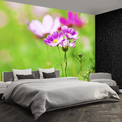 Mural de parede Cosmos Roxo