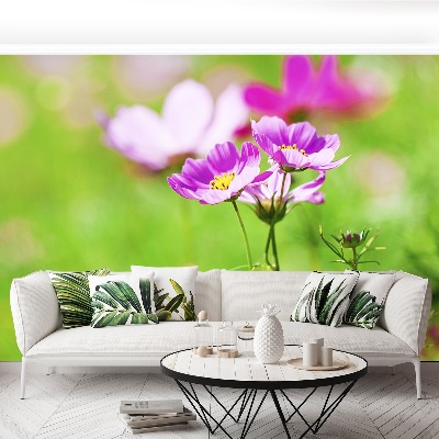 Mural de parede Cosmos Roxo