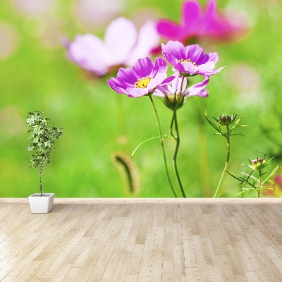 Mural de parede Cosmos Roxo