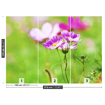 Mural de parede Cosmos Roxo