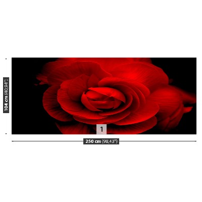 Mural de parede Rosa Vermelha