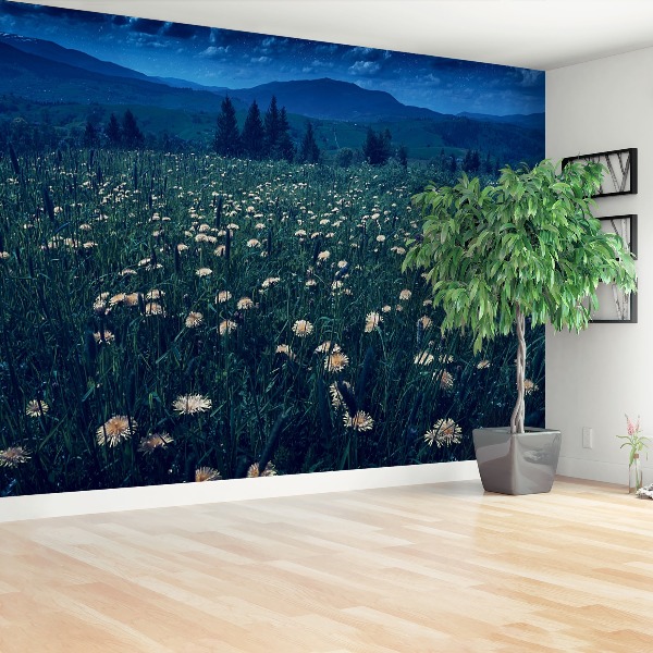 Papel de parede Dentes-de-leão amarelos