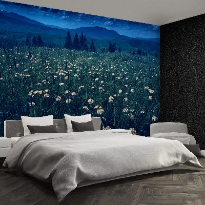 Papel de parede Dentes-de-leão amarelos