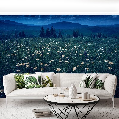 Papel de parede Dentes-de-leão amarelos