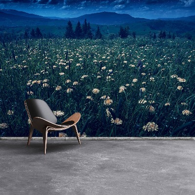 Papel de parede Dentes-de-leão amarelos