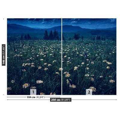 Papel de parede Dentes-de-leão amarelos