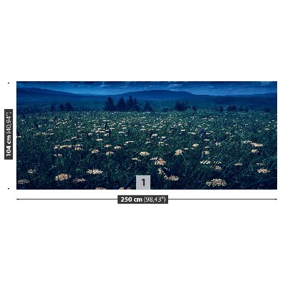 Papel de parede Dentes-de-leão amarelos