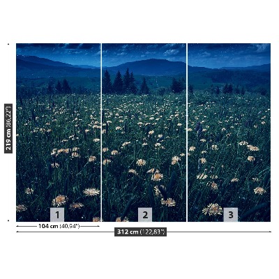 Papel de parede Dentes-de-leão amarelos