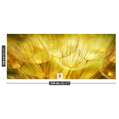 Mural de parede Dente-de-leão dourado