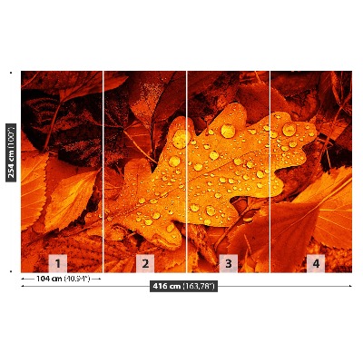 Papel de parede Folha de carvalho