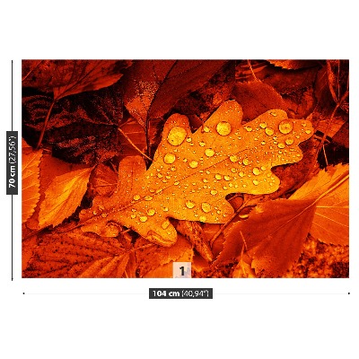 Papel de parede Folha de carvalho