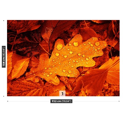 Papel de parede Folha de carvalho