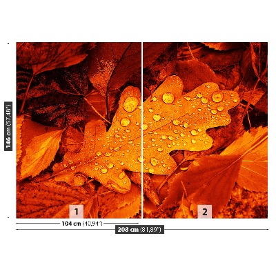 Papel de parede Folha de carvalho