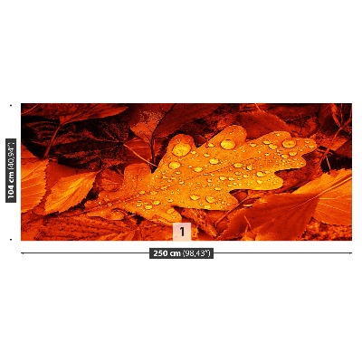 Papel de parede Folha de carvalho