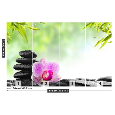 Mural de parede Orquídea e Pedras