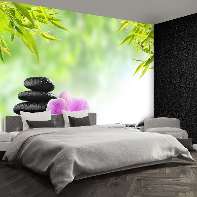 Mural de parede Orquídea e Pedras