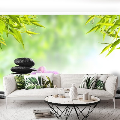 Mural de parede Orquídea e Pedras