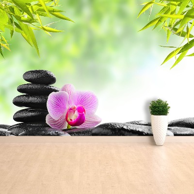 Mural de parede Orquídea e Pedras