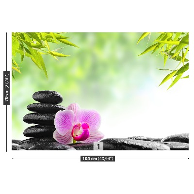 Mural de parede Orquídea e Pedras