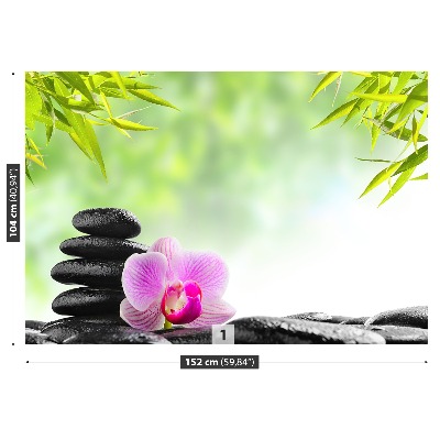Mural de parede Orquídea e Pedras
