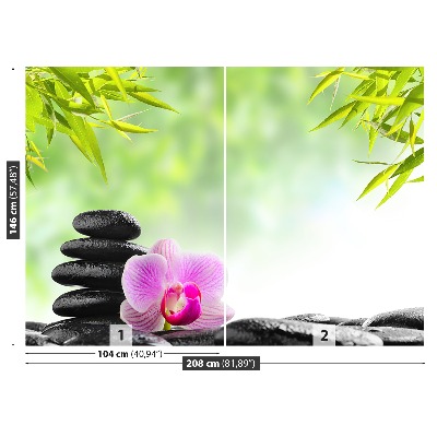 Mural de parede Orquídea e Pedras