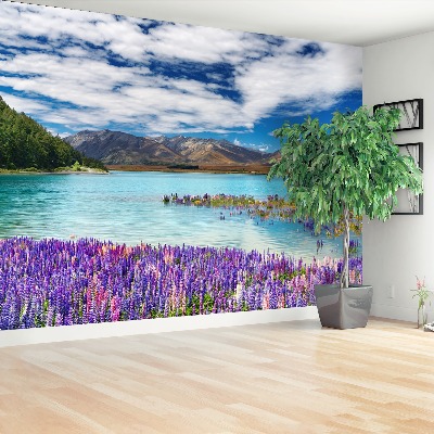 Papel de parede Lago Nova Zelândia