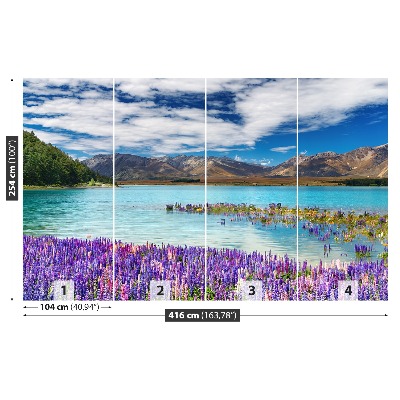 Papel de parede Lago Nova Zelândia