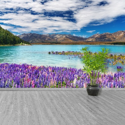 Papel de parede Lago Nova Zelândia