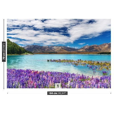 Papel de parede Lago Nova Zelândia