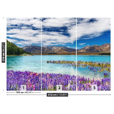 Papel de parede Lago Nova Zelândia