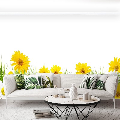 Papel de parede Capim-camomila