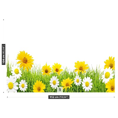 Papel de parede Capim-camomila