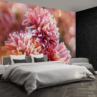 Mural de parede Aster Rosa Gelo