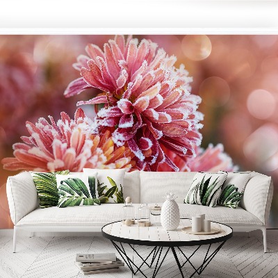 Mural de parede Aster Rosa Gelo