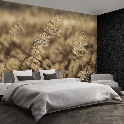 Papel de parede Bege Reed