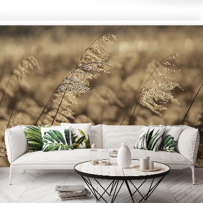 Papel de parede Bege Reed