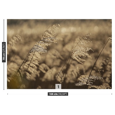 Papel de parede Bege Reed