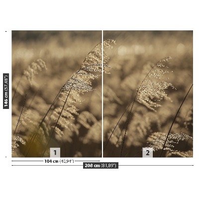 Papel de parede Bege Reed