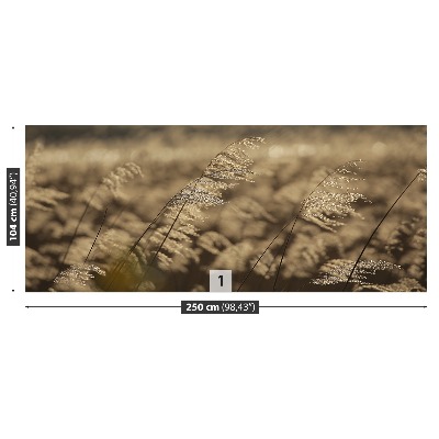 Papel de parede Bege Reed