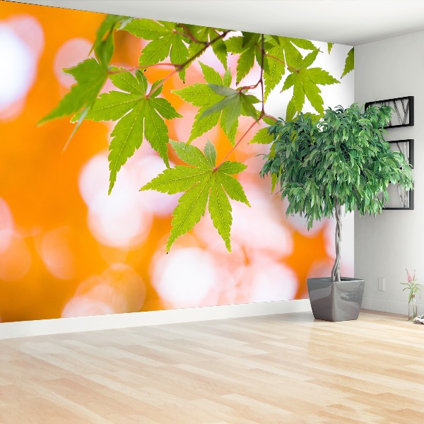 Papel de parede Folhas de bordo