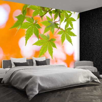 Papel de parede Folhas de bordo