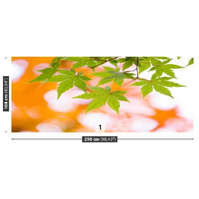 Papel de parede Folhas de bordo