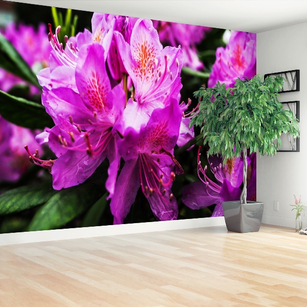 Mural de parede Flores roxas