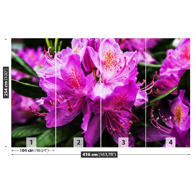 Mural de parede Flores roxas