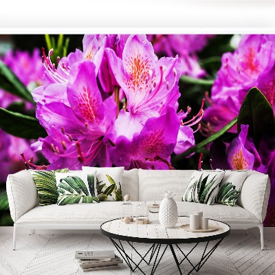 Mural de parede Flores roxas