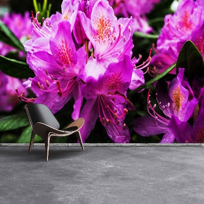 Mural de parede Flores roxas