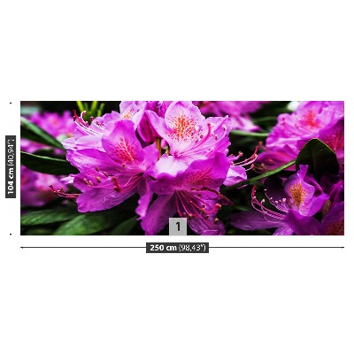 Mural de parede Flores roxas