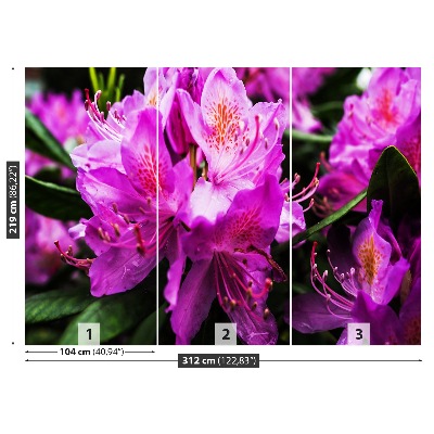 Mural de parede Flores roxas