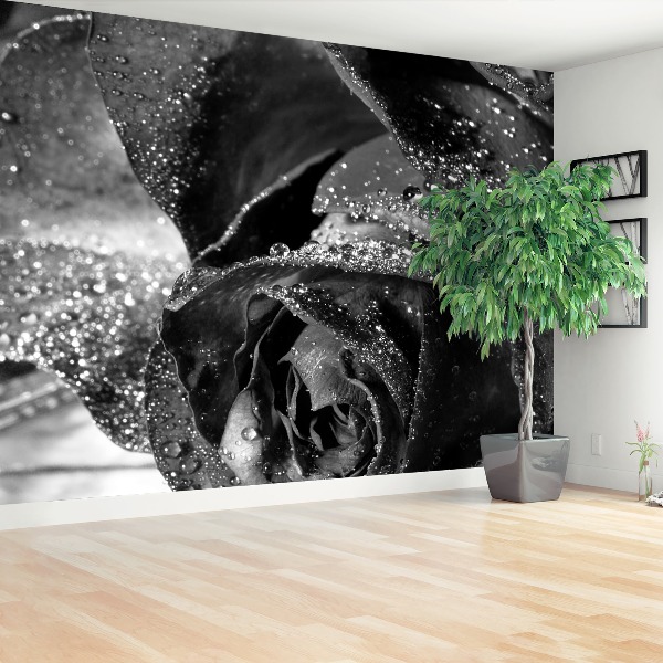 Papel de parede Água de rosas