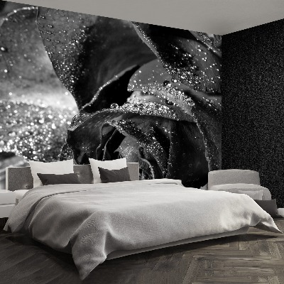 Papel de parede Água de rosas